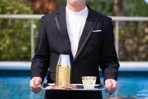9 oz Gold Rimmed Plastic Cups Tumblers are Reusable and Disposable - Premium Heavyweight - Elegant & Fancy Rim - 80 Count Old Fashioned Clear Glasses - Perfect For Your Party
