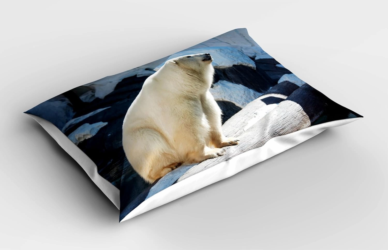 Ambesonne Zoo Pillow Sham Set of 2, Polar Bear Wildlife Park Rocks Water Cold Climate Tourist Attraction Image, Quality Microfiber Bedding Item for All Seasons, 26" x 20", Pale Blue Black Cream