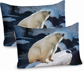 Ambesonne Zoo Pillow Sham Set of 2, Polar Bear Wildlife Park Rocks Water Cold Climate Tourist Attraction Image, Quality Microfiber Bedding Item for All Seasons, 26" x 20", Pale Blue Black Cream