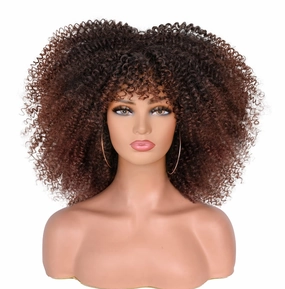 ANNISOUL 14Inch Short Curly Afro Wigs for Black Women Bomb Afro Kinky Curly Wig with Bangs Synthetic Fiber Full Wig(Dark Brown)