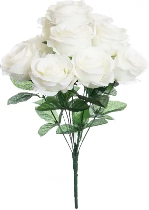 Ashland Cream Rose Bush