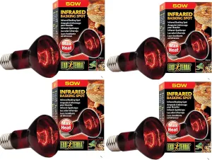 Exo Terra Heat-Glo Infrared Spot Lamp, 50-Watt/120-Volt (4 Pack)