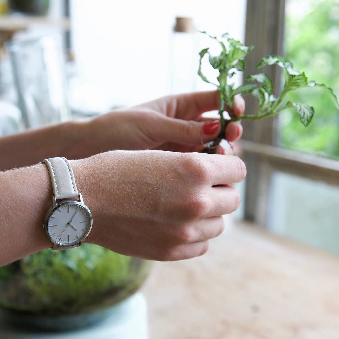 fte3004 | Silver & Cream Watch