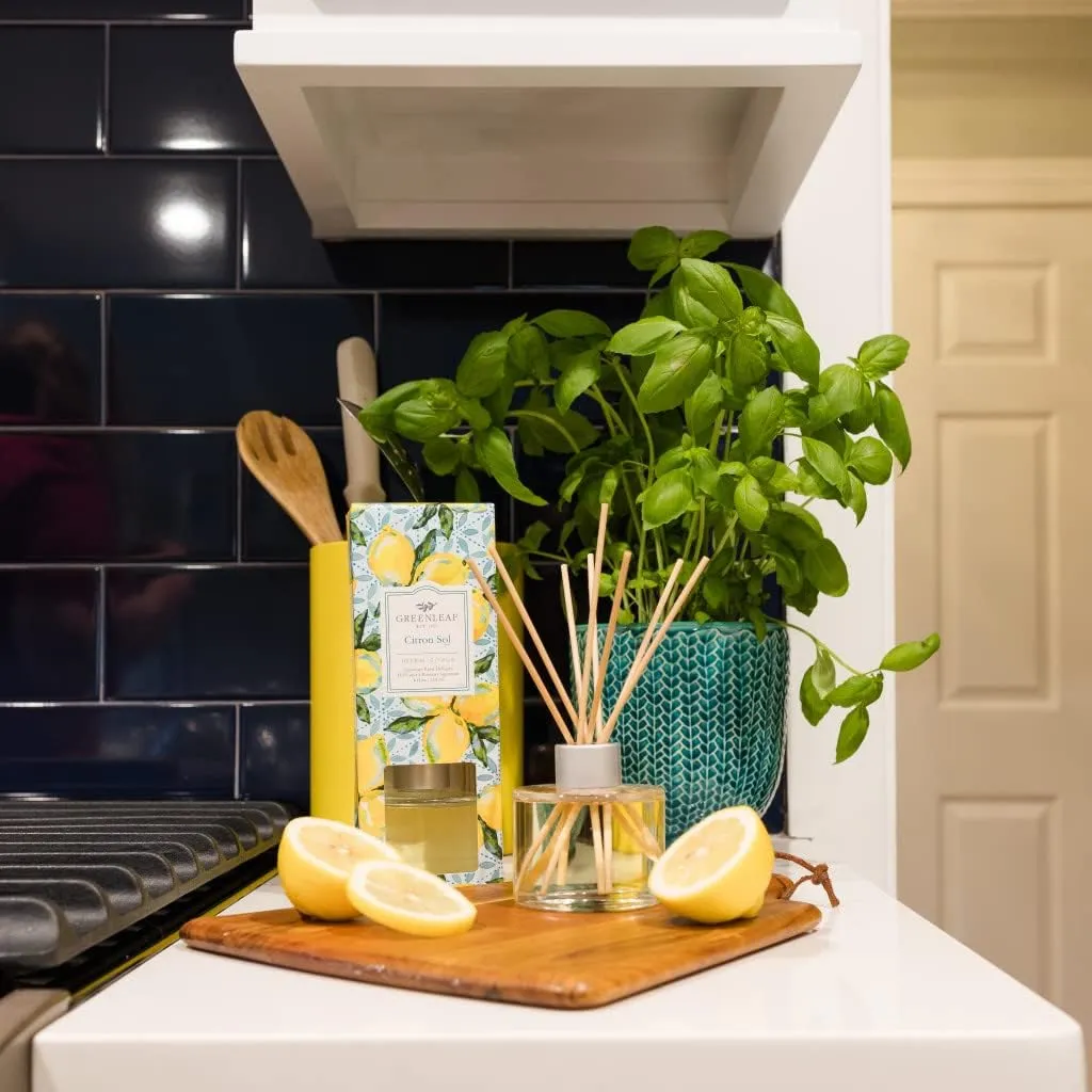 GREENLEAF Gifts Highly Fragranced Room Décor Reed Diffuser-Citron Sol