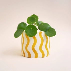 Hello Marilu Large Stripes or Squiggles Jesmonite Pot: Mint / Squiggles