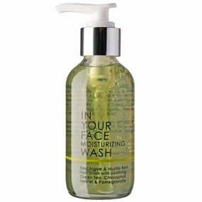 IN YOUR FACE Moisturizing Face Wash – Regenerating Facial Cleanser with Seaweed, Green Tea, Chlorophyll & Antioxidants – pH-Balanced Face Cleanser for Dry Skin and Impurities – Cruelty-Free (4oz)