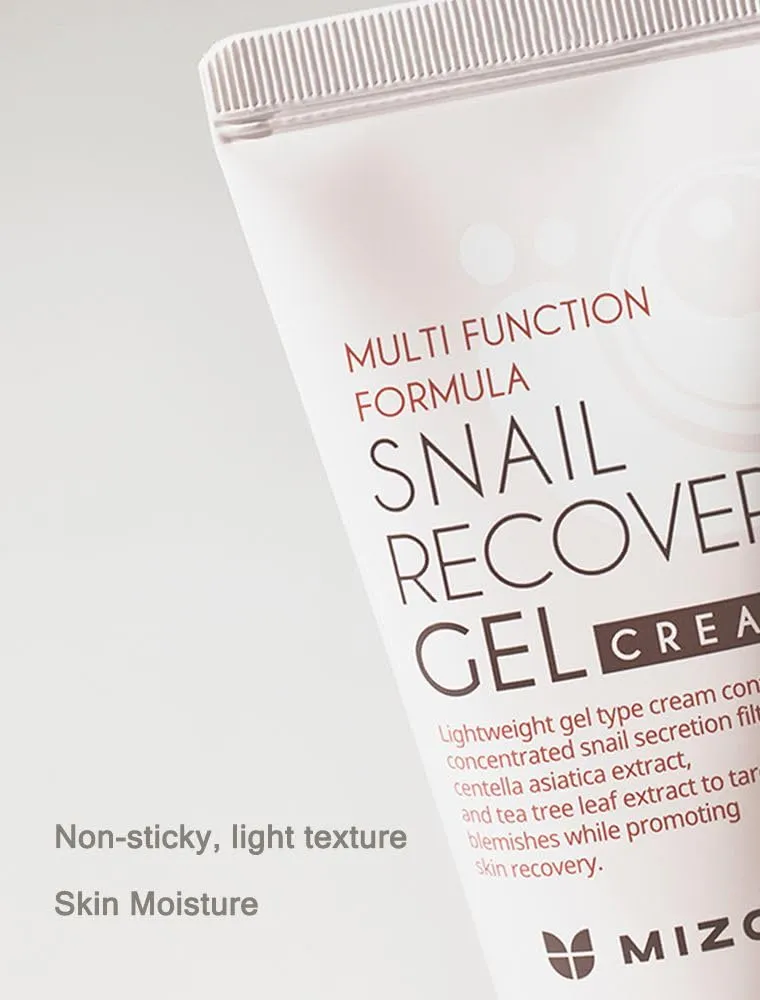 MIZON Set of Two Snail Recovery Gel Cream Snail Mucin for Fine Lines Skin Elasticity Moisture Fragrance-Free Korean Skincare(45ml 1.52 fl.oz -Pack of 2)