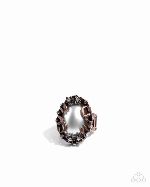 Paparazzi Ring ~ Flashy Frenzy