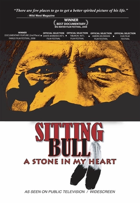 Sitting Bull: A Stone in My Heart