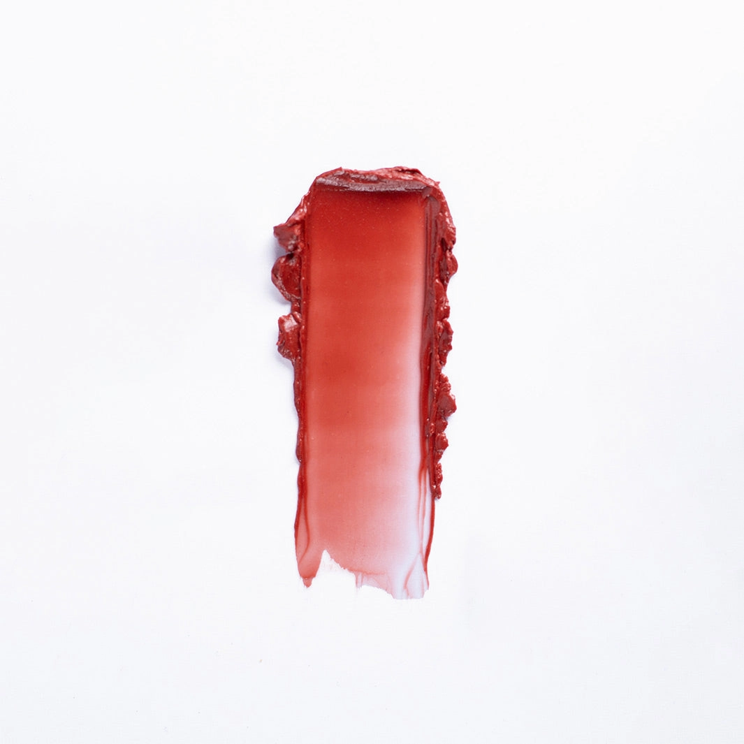 Tinted Lip Balm & Moisturizing Blush - 04 Red Brown 0.17 oz